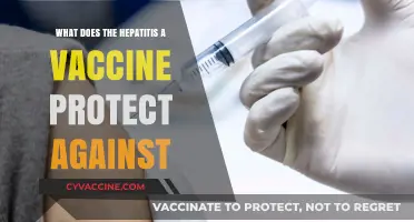Hepatitis A Vaccine: Shielding Against Liver Infection and Its Complications