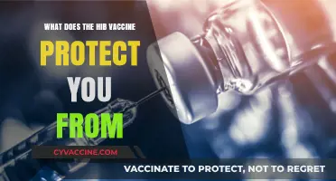 Understanding Hib Vaccine: Diseases It Prevents and Why It's Essential