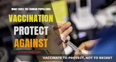 Human Papilloma Vaccination: Shielding Against HPV-Related Diseases and Cancers