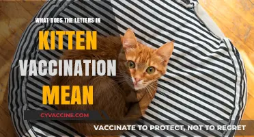 Decoding Kitten Vaccination Acronyms: Understanding the Letters Behind the Shots