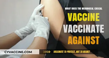 Meningeal Coccal Vaccine: Protecting Against Meningitis and Septicemia Causes