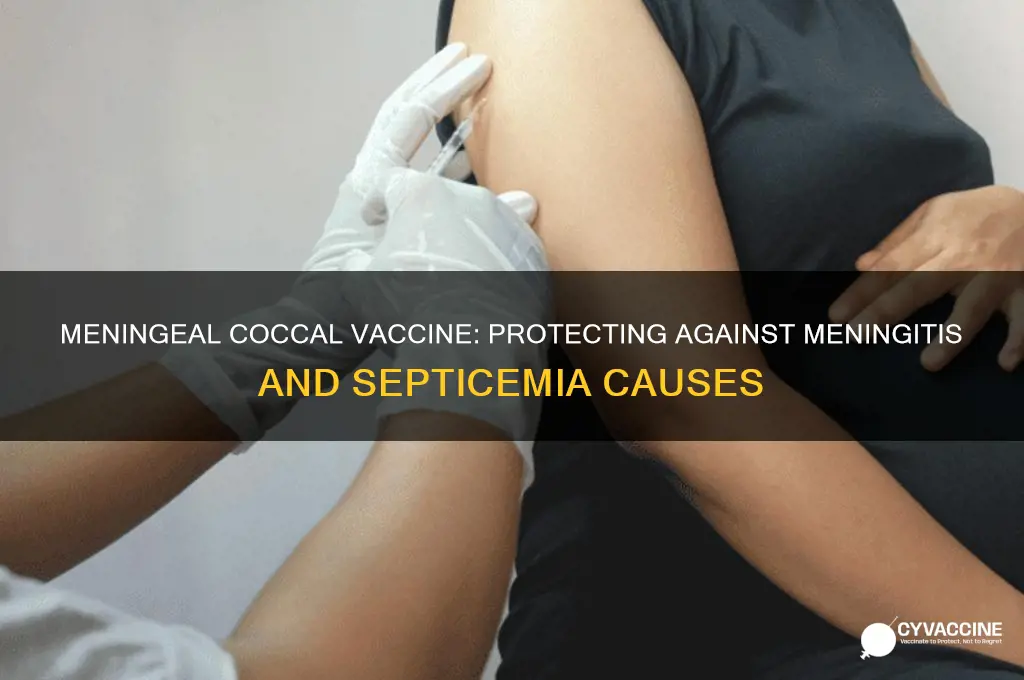 what does the meningeal coccal vaccine vaccinate against