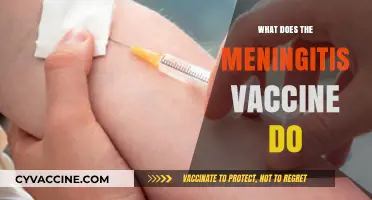 Understanding Meningitis Vaccines: How They Protect Against Serious Infections