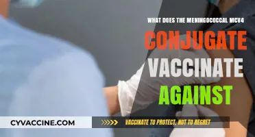 Understanding Meningococcal MCV4: Diseases Prevented by the Conjugate Vaccine