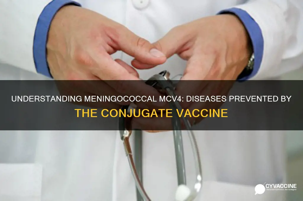 what does the meningococcal mcv4 conjugate vaccinate against