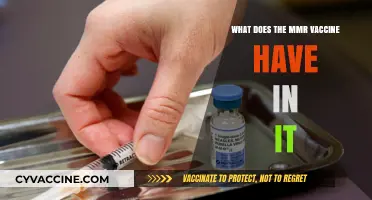 MMR Vaccine Ingredients: Understanding What’s Inside the Measles, Mumps, Rubella Shot