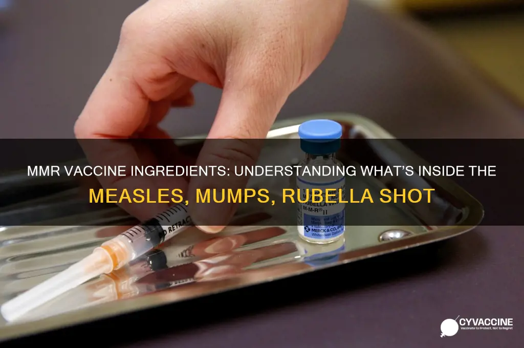 what does the mmr vaccine have in it