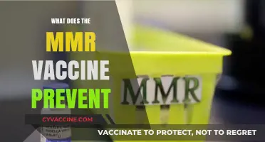 MMR Vaccine: Preventing Measles, Mumps, and Rubella Effectively