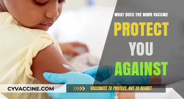 MMR Vaccine: Shielding Against Measles, Mumps, and Rubella Infections