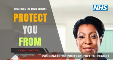MMR Vaccine: Protection Against Measles, Mumps, and Rubella