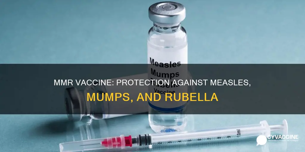 what does the mmr vaccine protect you from