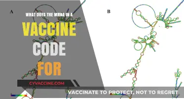 Decoding mRNA Vaccines: What Does the Genetic Code Instruct?