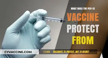 PCV-13 Vaccine: Shielding Against Pneumonia, Meningitis, and Blood Infections