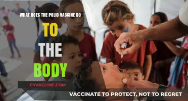 Understanding the Polio Vaccine: How It Protects and Strengthens Your Body