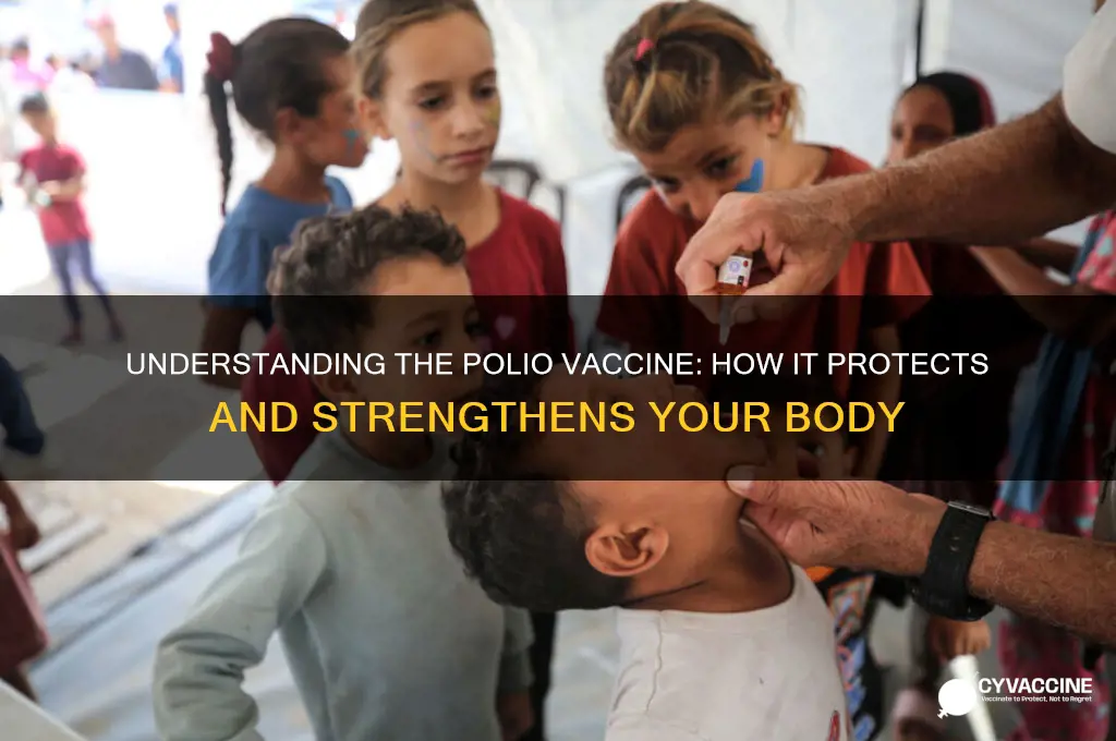 what does the polio vaccine do to the body