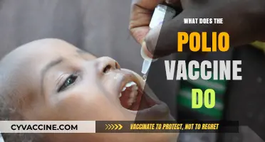 Understanding the Polio Vaccine: How It Protects Against Paralysis and Eradication