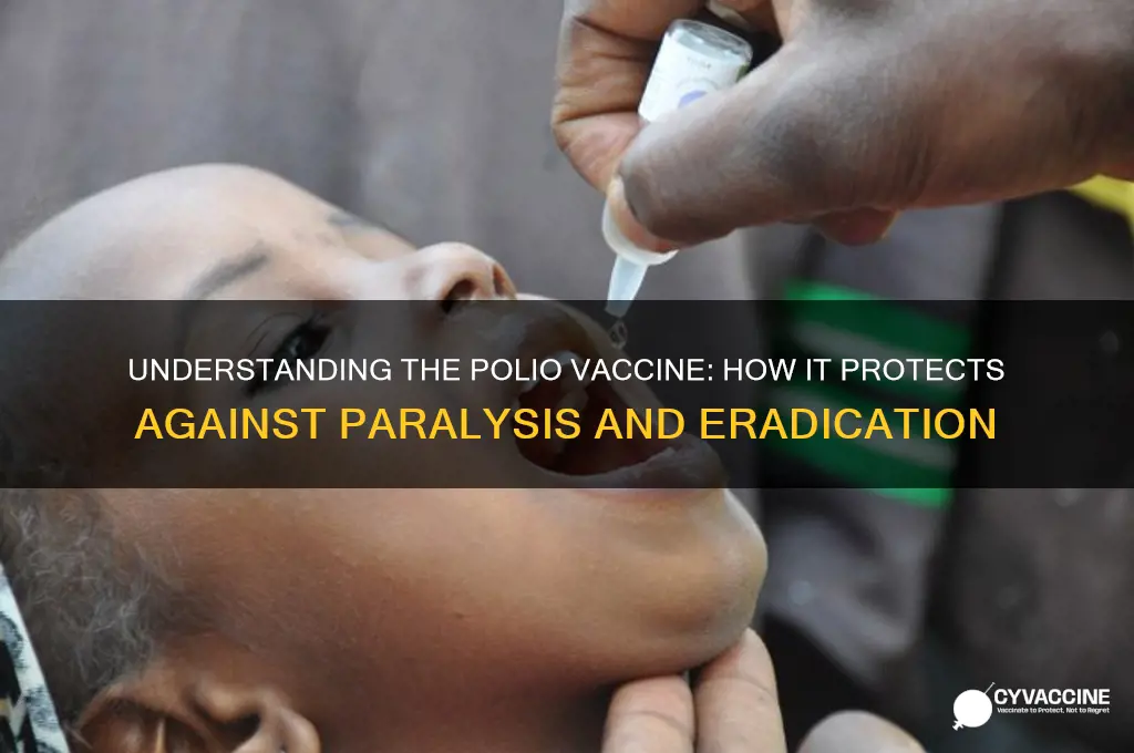 what does the polio vaccine do