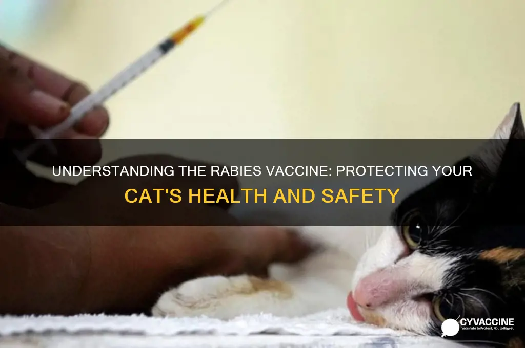 what does the rabies vaccine do for cats