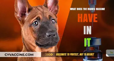 Understanding Rabies Vaccine Ingredients: A Comprehensive Breakdown of Its Components