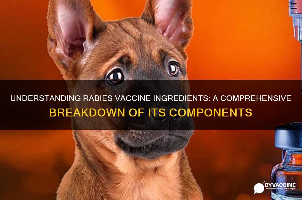 what does the rabies vaccine have in it