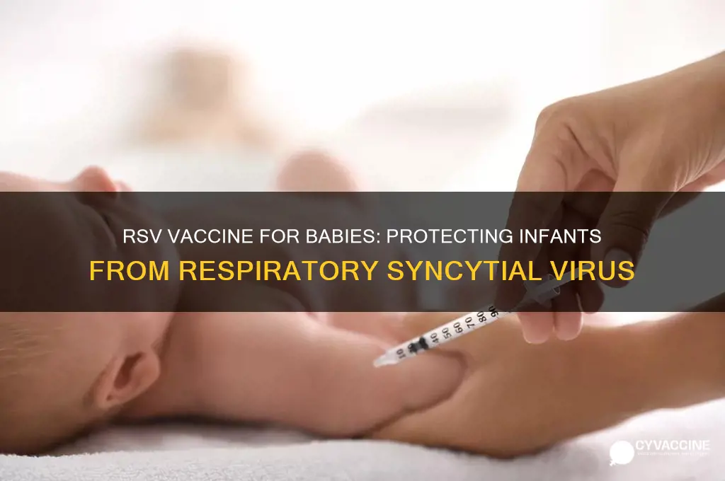 what does the rsv vaccine do for babies