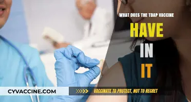 What's Inside the Tdap Vaccine? Ingredients and Their Purpose Explained