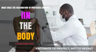 How Pertussis Vaccination Boosts Immune Response and Prevents Whooping Cough