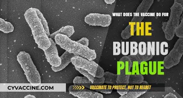 How the Bubonic Plague Vaccine Works: Protection and Prevention Explained