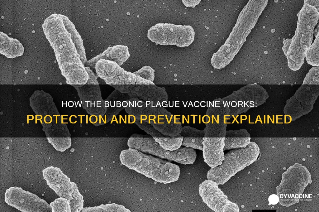 what does the vaccine do for the bubonic plague