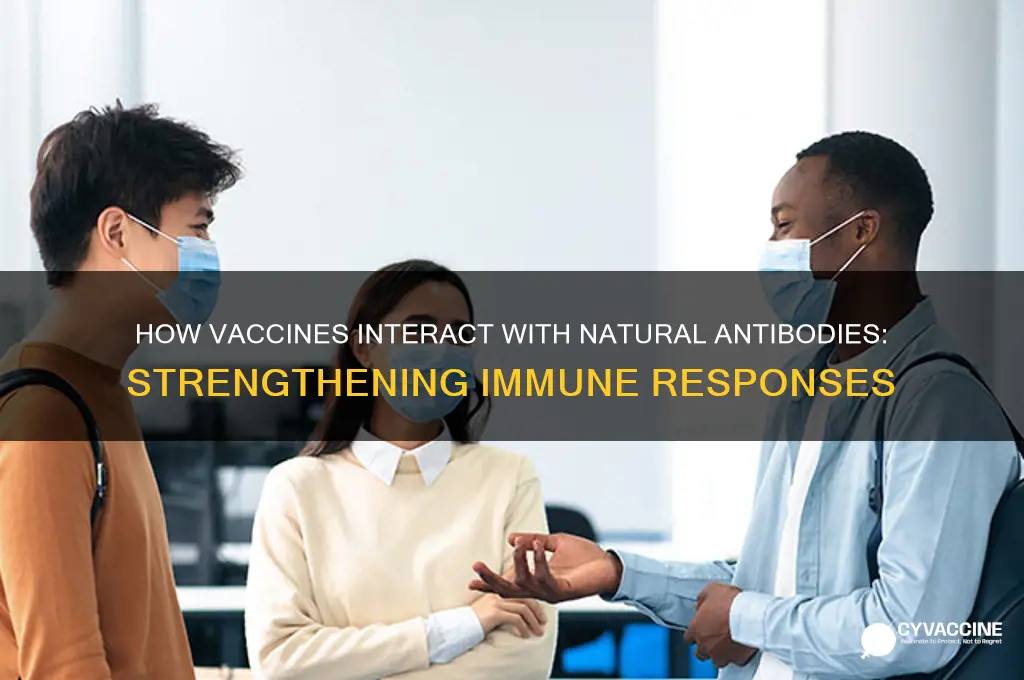 what does the vaccine do to natural antibodies
