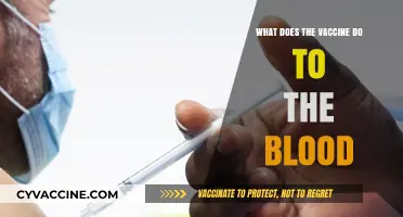 How Vaccines Interact with Blood: Unraveling Their Impact and Benefits
