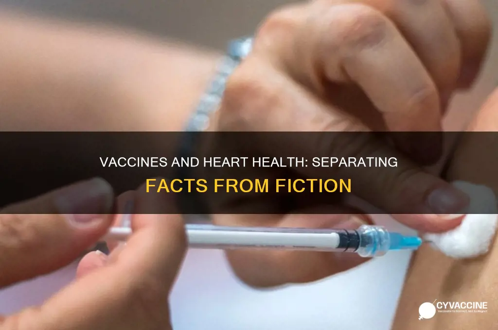 what does the vaccine do to the heart