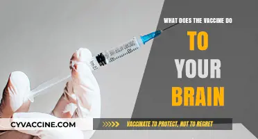 Vaccines and Brain Health: Separating Myths from Scientific Facts
