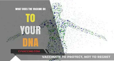 Vaccines and DNA: Separating Fact from Fiction in Genetic Impact