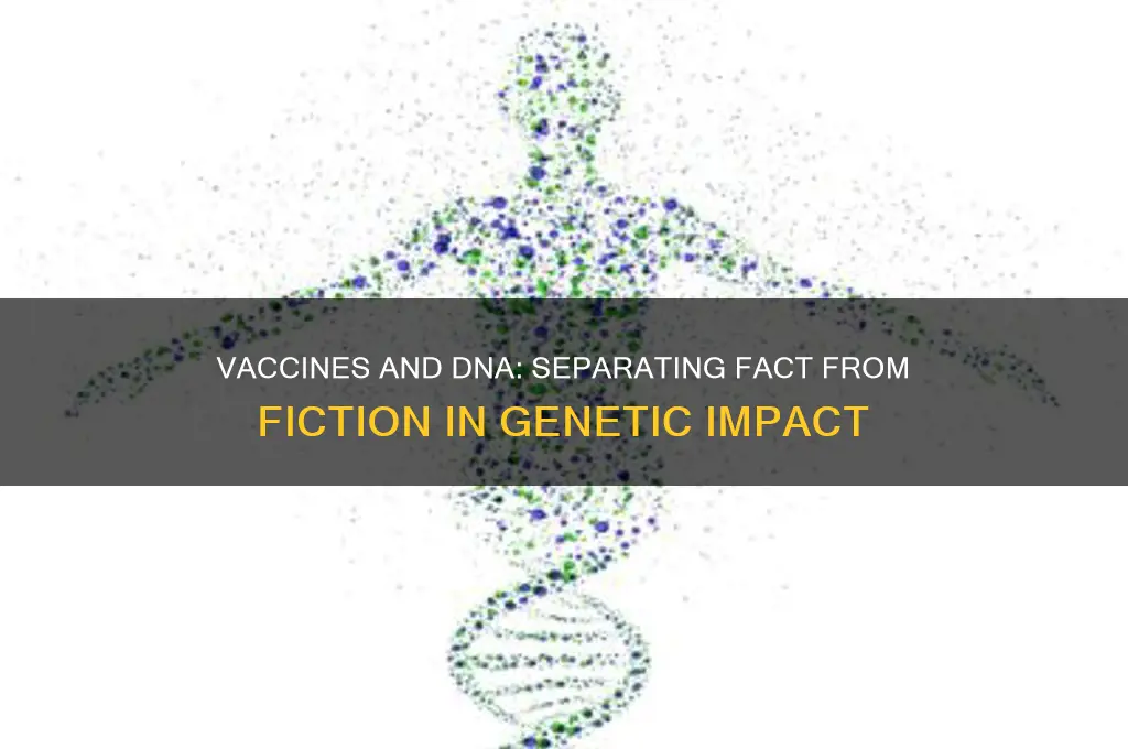 what does the vaccine do to your dna