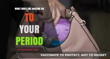 Vaccines and Menstruation: Understanding the Impact on Your Period