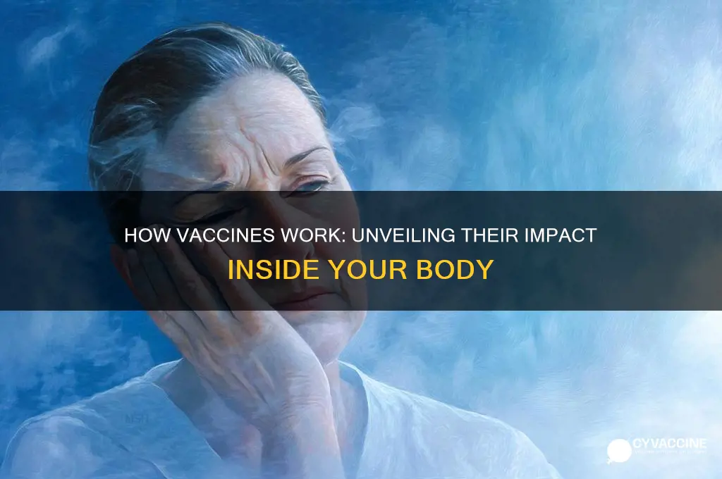 what does the vaccine do when it enters your body