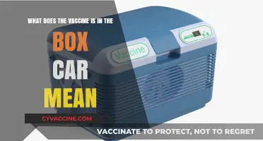 Unpacking the Mystery: What 'Vaccine in the Box Car' Really Means