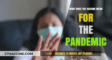 Vaccine Rollout: A Turning Point in the Pandemic's Timeline