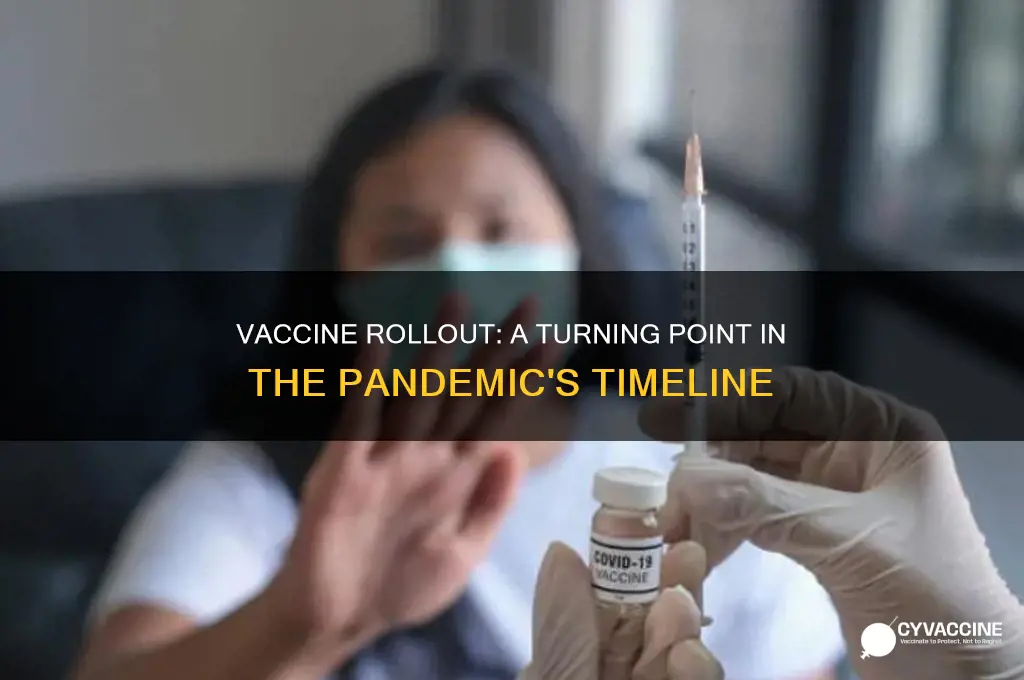 what does the vaccine mean for the pandemic