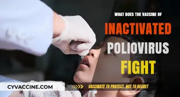 Inactivated Poliovirus Vaccine: How It Fights Polio and Prevents Paralysis