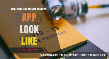 Exploring the Design and Features of the Vaccine Passport App