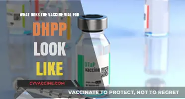 What Does the DHPP Vaccine Vial Look Like? A Visual Guide