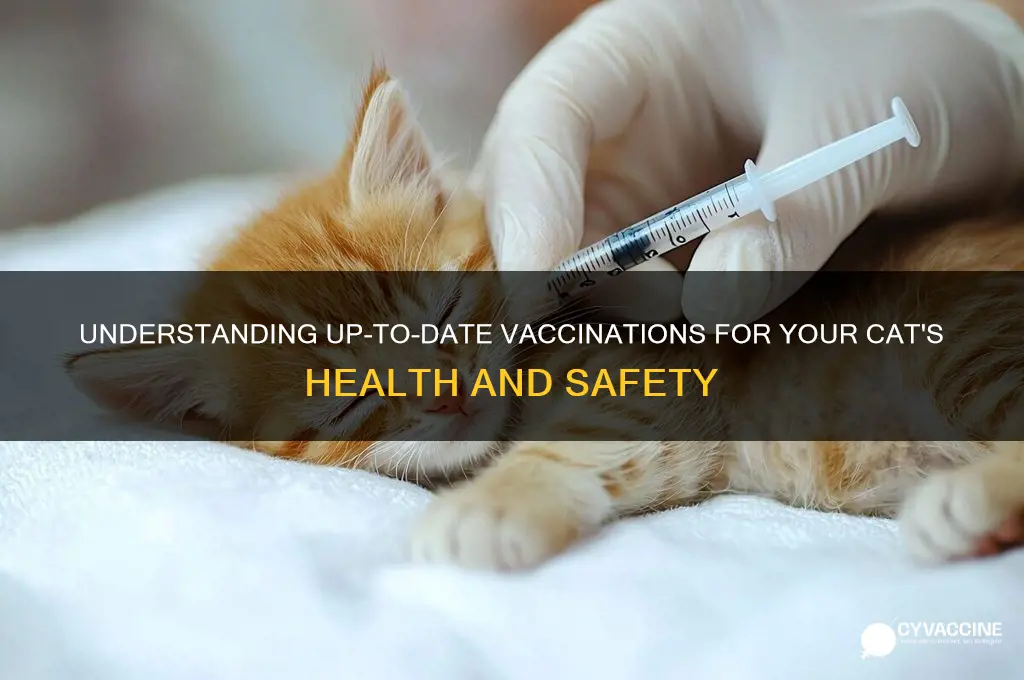 what does up to date on vaccinations mean for cat