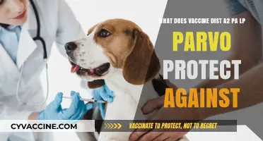 Vaccine Distemper A2 PA LP Parvo: Diseases and Protection Explained