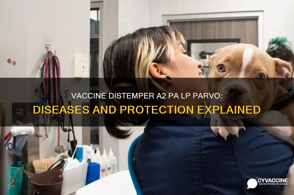 what does vaccine dist a2 pa lp parvo protect against