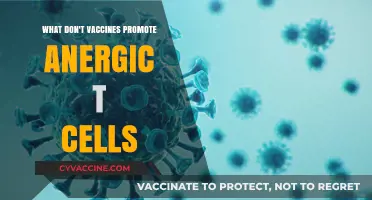 Vaccines and T Cells: Debunking the Anergic Response Myth