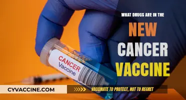 New Cancer Vaccine: Unveiling the Drug Components and Their Role