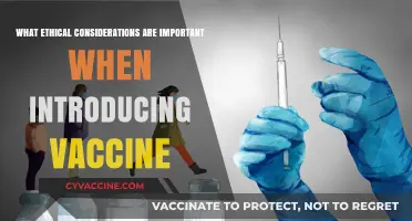 Ethical Vaccine Rollout: Balancing Access, Equity, and Public Trust