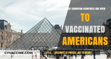 Vaccinated Americans Welcome: European Countries Open for Travel